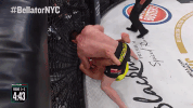 GIF by Bellator