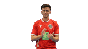 Hannover 96 Fifa Sticker by H96eSports