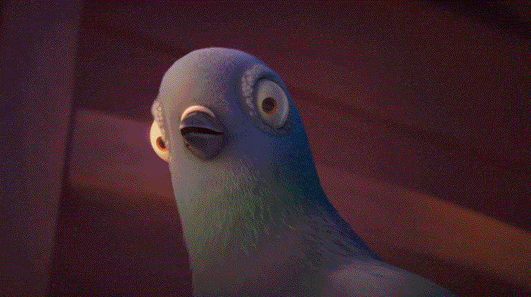 nouvellesimages giphyupload confused shocked bird GIF