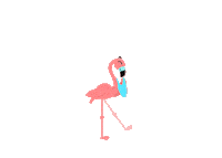 Wedding Flamingo Sticker by Tambu Klavye