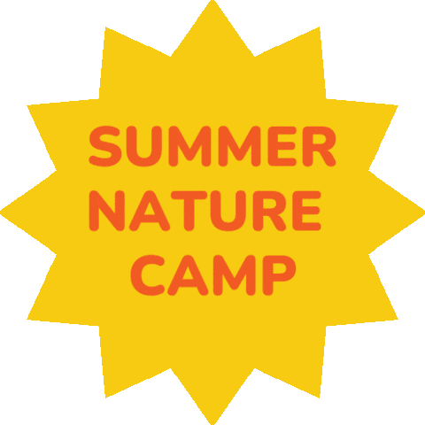 Wildbearnaturecenter giphyupload summercamp wildbearnature summernaturecamp Sticker