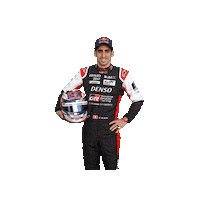 Gowago racing cars redbull sebastienbuemi Sticker