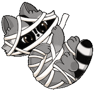 Halloween Raccoon Sticker