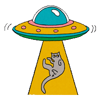 South By Southwest Cat Sticker by SXSW