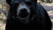 Bless You What GIF by Cocaine Bear