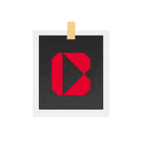 Polaroid Bota Sticker by Bracol.pro