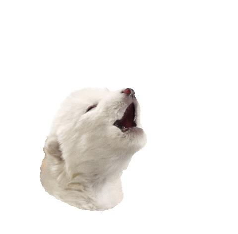 Baby Howling Sticker by Colossal
