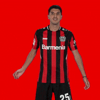 Werkself No GIF by Bayer 04 Leverkusen