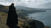 dragon wolf GIF by mannyjammy