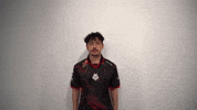 League Of Legends Lol GIF by G2 Esports
