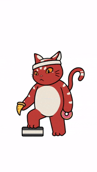 Cat Bulking GIF by Kitaro World