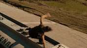 Fast And Furious Action GIF by The Fast Saga