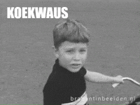 Gekkie Koekwaus GIF by BrabantinBeelden