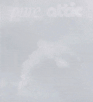 GIF by Light In The Attic