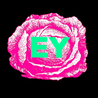 Leeds Slang GIF by Cabbage Patch Bakery