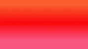 Election Hidalgo GIF by Parti socialiste