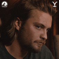 Paramount Network What GIF by Yellowstone