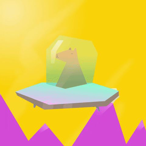 totemy giphyupload space bear spaceship GIF