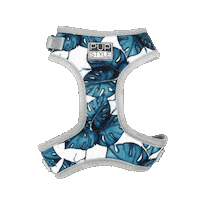 Dog Harness Sticker by Pupstyle