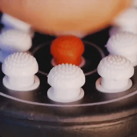 weyd giphygifmaker magic GIF