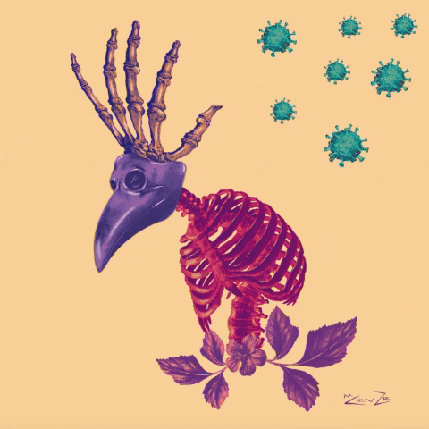 mauriciocruzreyes giphygifmaker GIF