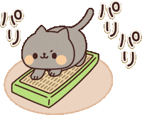 In Love Cat Sticker