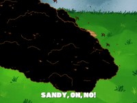 season 5 episode 10 GIF by SpongeBob SquarePants