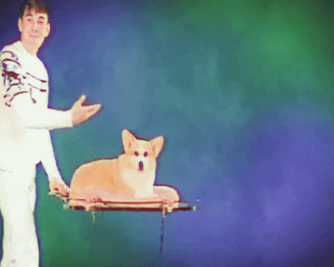 Behold My Dog GIF by Yung Bae