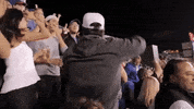 big cat kfc GIF by Barstool Sports