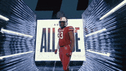 College Football GIF by gamecocksonline