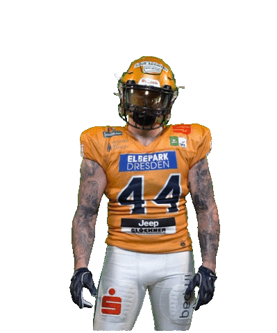 Football Sport Sticker by Dresden Monarchs