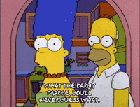 homer simpson episode 22 GIF