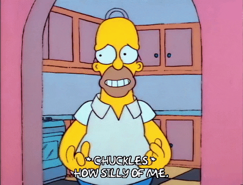 Season 1 GIF by The Simpsons