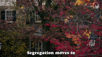 Segregation Moves To The Private Sector