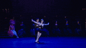 Swanlake GIF by English National Ballet