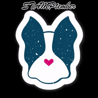 Boston Terrier Love GIF by Simon Says Stamp