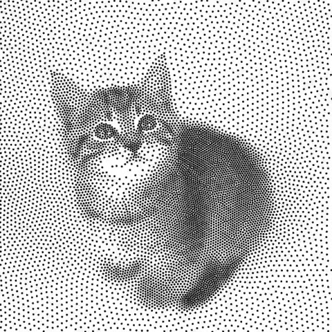 timhulford giphygifmaker GIF