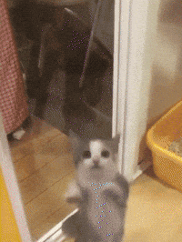 Happy Happy Dancing GIF