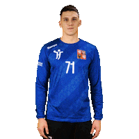 Goalkeeper Hazena Sticker by Czech Handball
