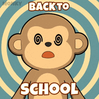 School Class GIF by Wise Monkey Meme
