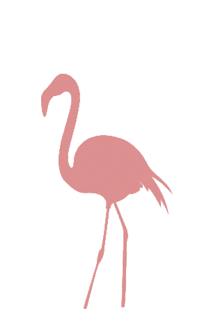 helmdesignstudio giphyupload pink stars flamingo Sticker