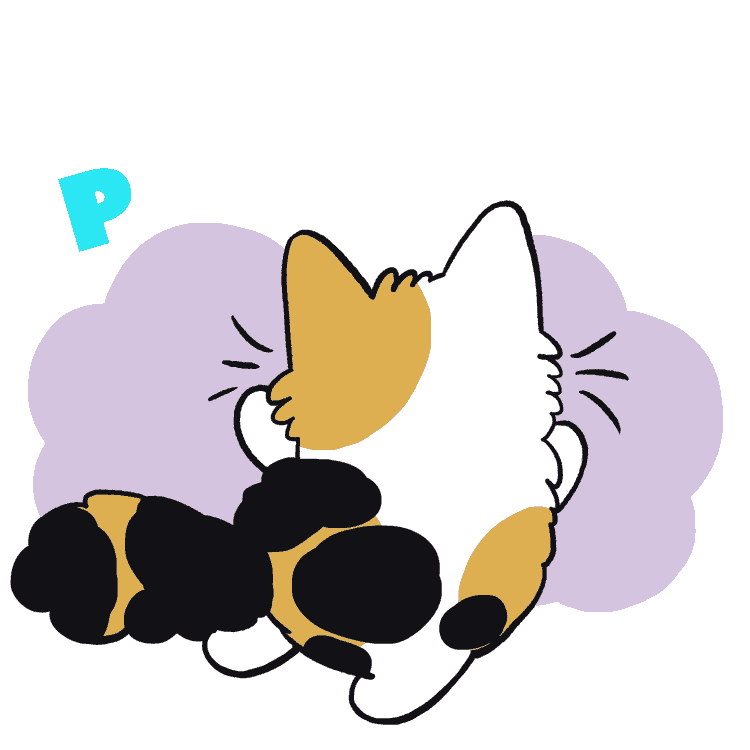 dance cat Sticker by meowbox