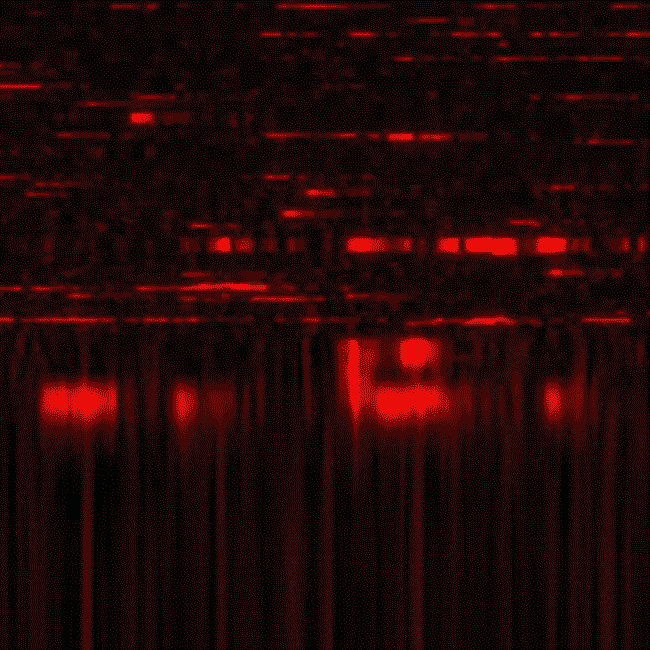 Crypto Privacy GIF by RGT Cycling