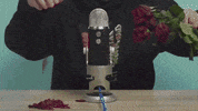 flowers mic GIF by Fuse