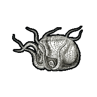 Deep Sea Beach Sticker by The Wild Curiosity