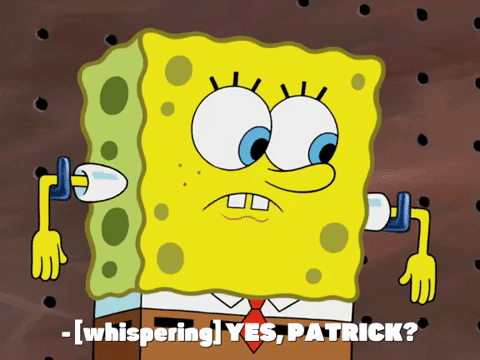 season 7 the curse of bikini bottom GIF by SpongeBob SquarePants