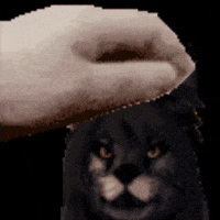 Pet GIF