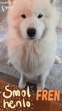 Ciao Hello GIF