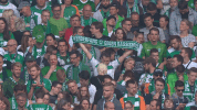 bundesliga fans GIF by SV Werder Bremen