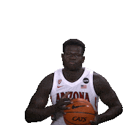 Arizona Wildcats Sticker by Arizona Men's Basketball